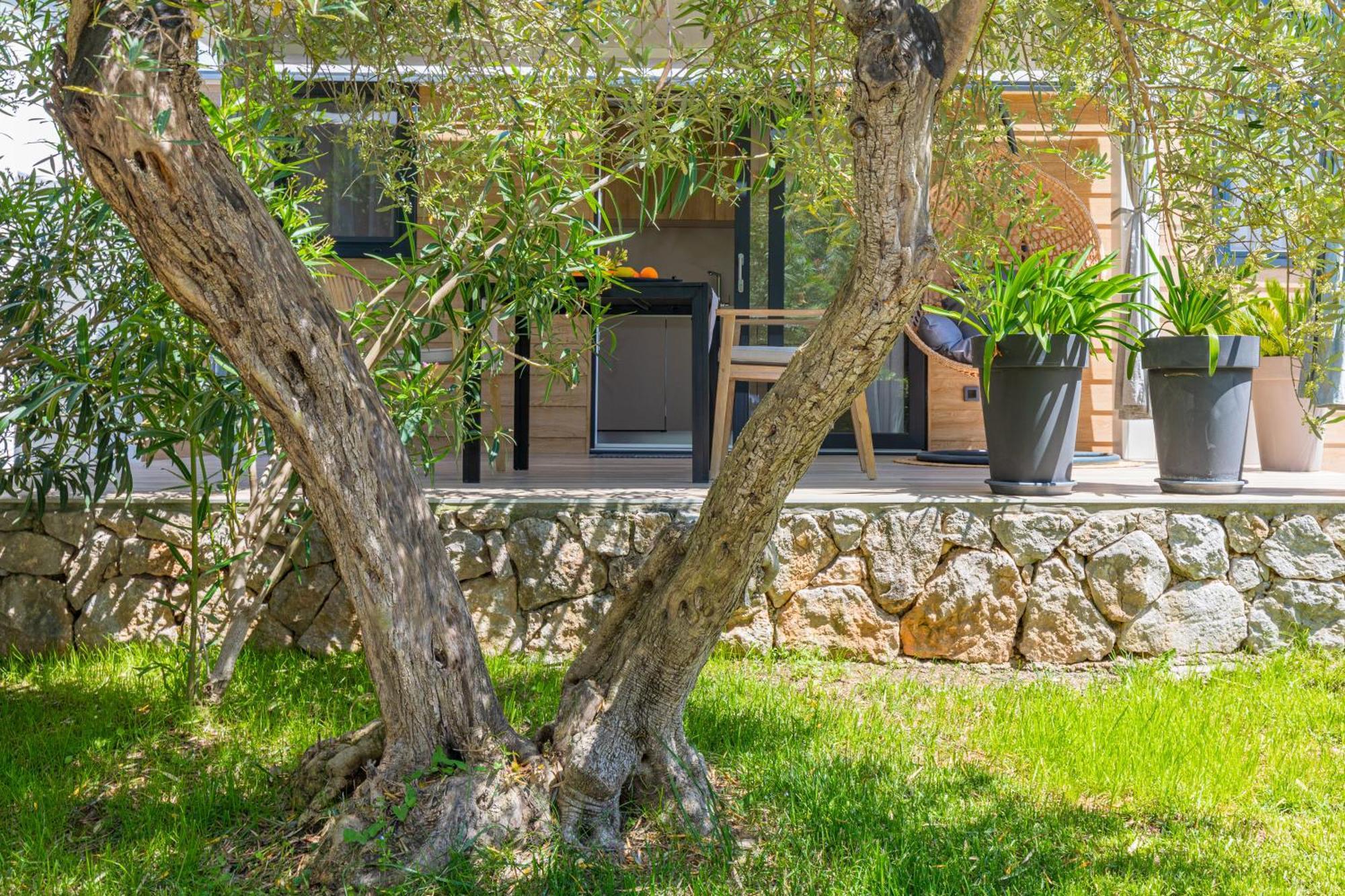 Oliveto Residence Bungalows - Adults Only Punat Buitenkant foto